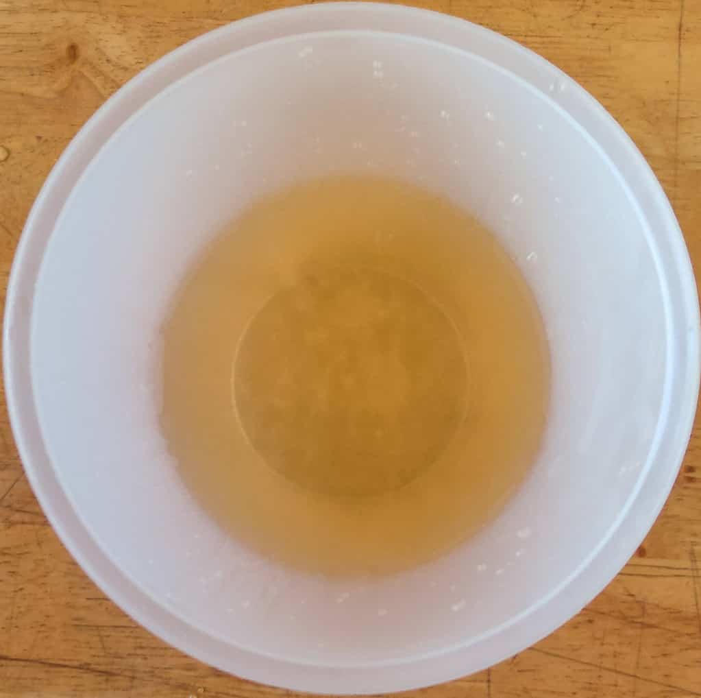 image of freshly made spruce tip syrup