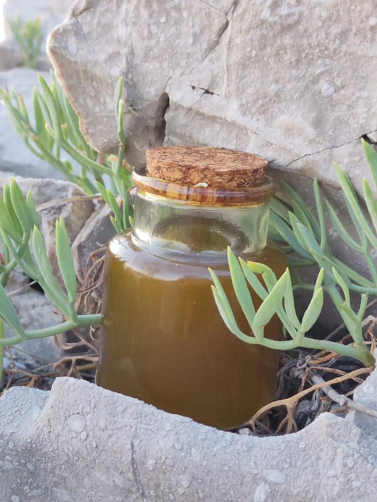 Helichrysum oil storage  - a bottle of homemade helichrysum oil 