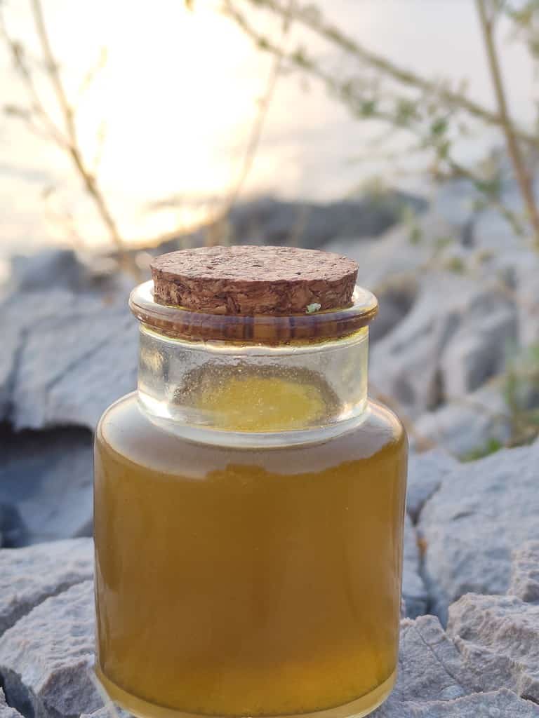 A bottle of homemade helichrysum oil in a Croationa beach setting