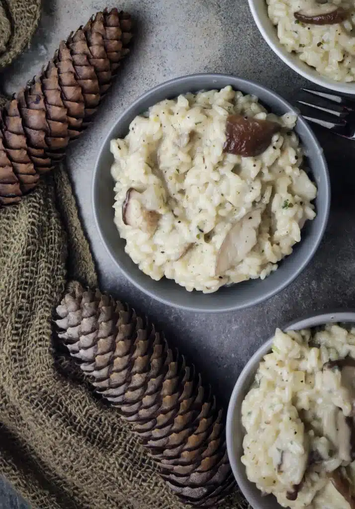 porcini creamy risotto