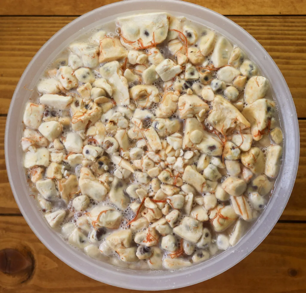 soaking baobab pulp 