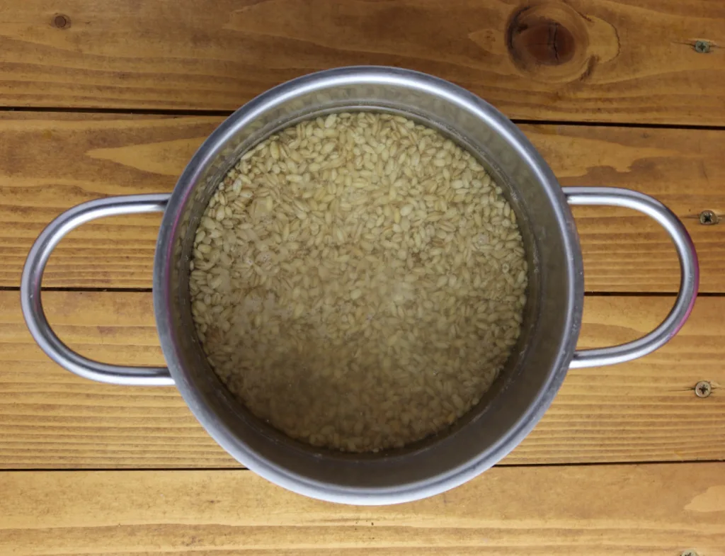 step two: soaking barley three hours before cooking 