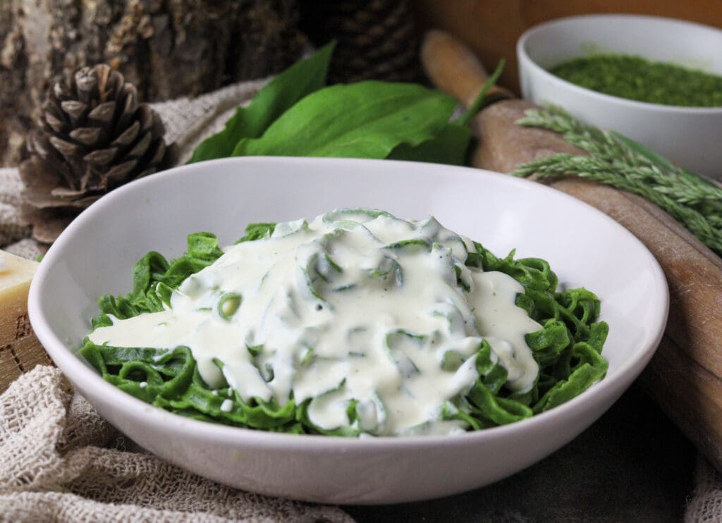 homemade green wild garlic pasta served with white garlic sauce