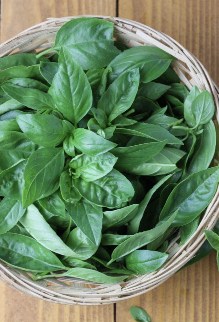 image of washed fresh basil leaves in a wooden basket