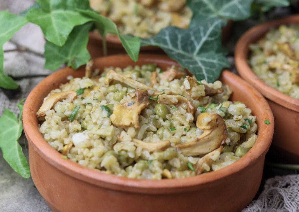 Culinary representation of whole grain bulgur risotto with fresh chanterelle mushrooms.