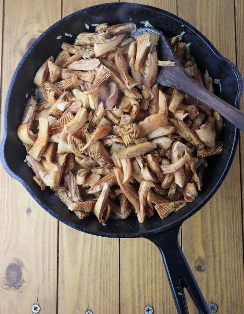 frying saffron milk cap mushrooms for a delicious pate