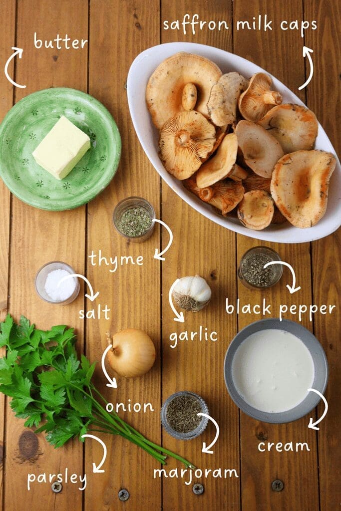 gathering ingredients for saffron milk cap pate: saffron milk cap mushrooms, butter, garlic, onions, heavy cream, fresh parsley, black pepper, salt, thyme and marjoram