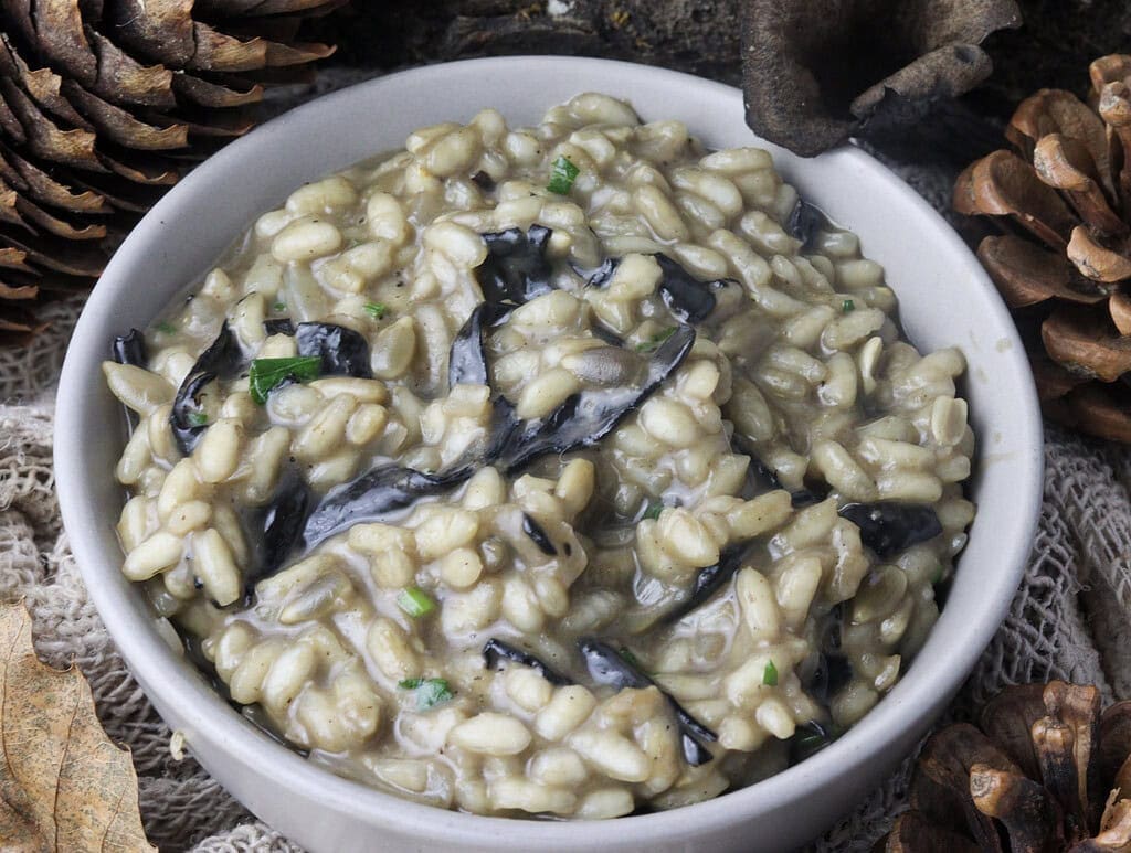 a close image of a silky, delicious black trumpet risotto