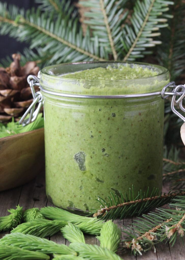 A jar of spruce tip pesto with spruce tips and branches in the background. 