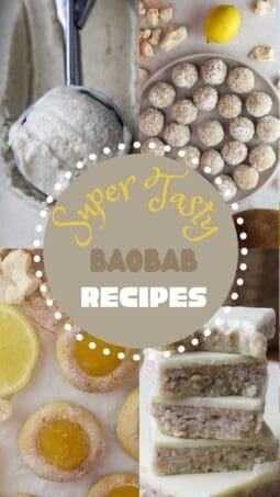 7 super tasty baobab recipes including smoothies, coffee, cookies, energy bars, and ice cream made with baobab powder and fruit.