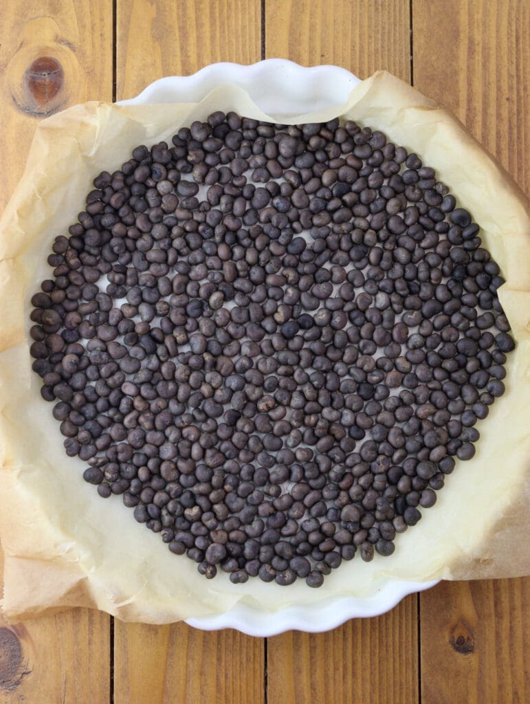 Image of roasted baobab seeds. 