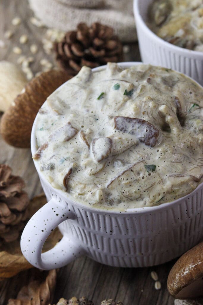 Porcini mushroom cream sauce in two bowls with pasta and porcini mushrooms in the background
