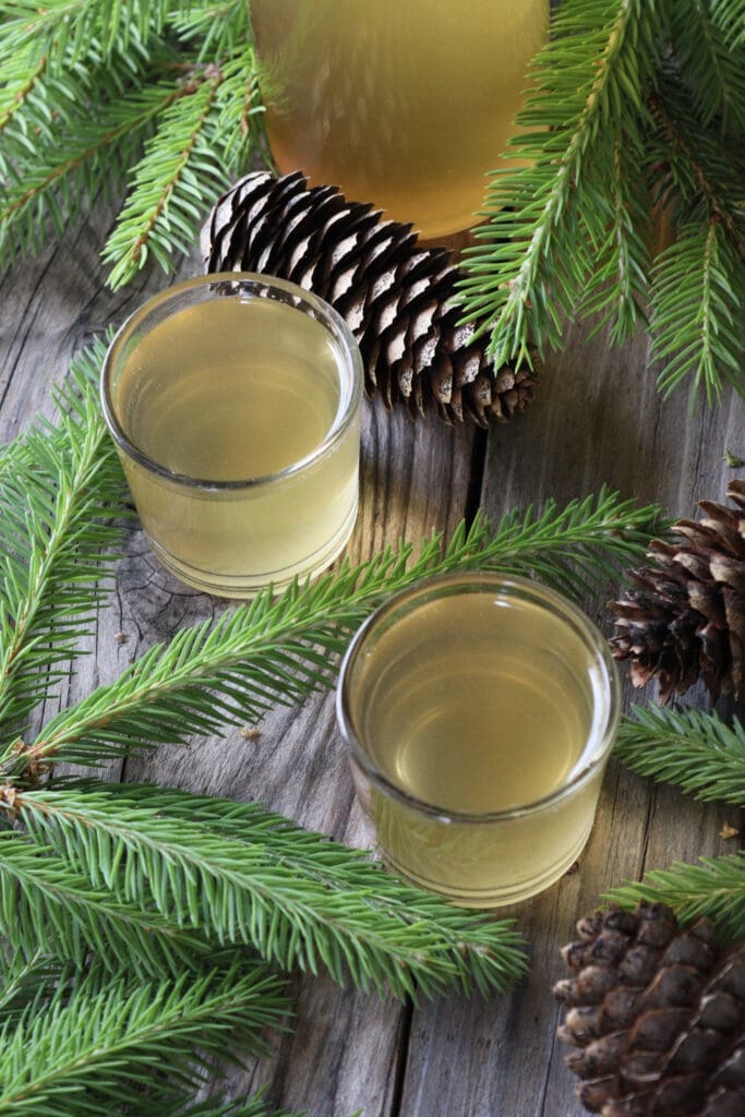 Two small cups of delicious spruce tip syrup made by a traditional recipe.